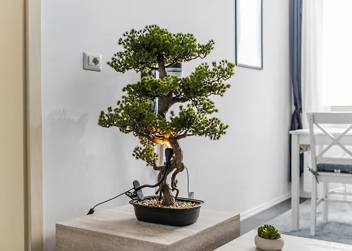 Modern With Scenic Views & Earthy Vibes By Pikhost